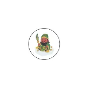 忠義正財神(關聖帝君)Q-防水貼紙(120枚)