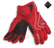【【蘋果戶外】】Snow Travel AR-42 ZIENER GORE-TEX GTX 防水透氣 保暖手套 防寒手套 看見台灣登玉山