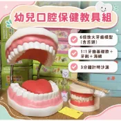 🦷✨ 幼兒口腔保健教具組-六倍大牙齒-1:1齒模 刷牙教具 牙齒沙漏兒童牙齒模型幼兒口腔保健教具刷牙教學牙科模型