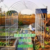 森嶼|限時下殺🔥爬藤支架 玫瑰 園藝爬藤架 花架 月季拱門拱門花架爬藤架花園月季薔薇花支架鐵藝植物架戶外花門庭院葡萄架