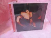 張國榮摯愛1995-2003 VCD