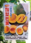 花田厝_水果苗—酪梨芒果苗--核小肉厚~肉質細緻/4.5吋高約30-50cm