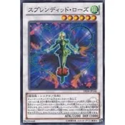 【DCT_緣夢の城】遊戲王 DE04-JP146&TSHD-JP043	華麗薔薇 普卡/金亮 90-95分