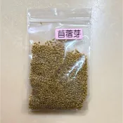苜蓿芽種子5克*10包【嚴選生機芽菜種子】 小包裝 新鮮 發芽率高 室內水耕 免施肥 沙拉菜 綠拿鐵