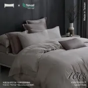 (店+)【Urban Nest】台灣製 極致天絲100支100%萊賽爾天絲床包被套組-多色任選(特大)