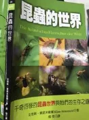《昆蟲的世界 》 晨星 【小熊家族】