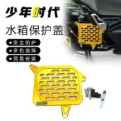 【全球優品匯】三陽 摩托 機車 配件 適用三陽SYM哈士奇150 HUSKY ADV150改裝配件水箱網
