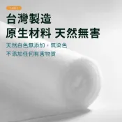 (店+)過濾棉 水族過濾棉 約2CM厚度 淨水棉 水族濾材 生化棉(高密度濾材 台灣製造)