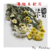 My Monday 衝評價!! 法國小菊 乾燥 花材【 法小菊 ／ 菊花 】永生 花束 手作 桌花 盆花 婚禮花材
