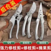 【台灣出貨】修枝剪 園藝剪刀 鮮花剪 樹枝剪 摘果工具 全鋼不鏽鋼剪 摘果器 摘果剪 檳榔剪刀 樹枝剪 農用剪刀 果樹剪