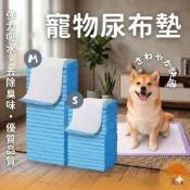 (店+)【Kao jing 高精】【⚠️超取最多8包⚠️】體驗款 寵物尿布墊 超商寄送(尿布墊 寵物紙尿褲 狗尿布)