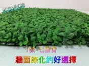 哈哈塑膠 七里香 仿真植物牆 草坪地毯 假草皮 陽台草綠化裝飾 綠色植物背景牆 人工草皮 仿真草皮 綠化擺設 塑膠草皮