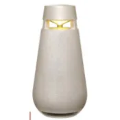 露營用品出售 LG XBOOM 360 瓦斯暖爐  烤火架 製冰機 捲尺氣氛燈 中壢