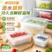 🥫瀝水保鮮盒3件組 冰箱收納盒 帶蓋蔬果盒 水果盒 蔬菜盒 廚房密封盒 冷凍盒 內附瀝水籃 食材分類盒 保鮮收納盒