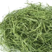 【綠源牧草鋪】隔日達  燕麥草甜小麥草百幕達草 牲畜與兩棲陸龟寵物通用牧草 34. 幼體成體皆可食用草 苜蓿草 提摩西一