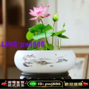 最佳優品 [歡迎詢價 可開發票]水培花盆陶瓷銅錢草一葉蓮碗蓮金錢草睡蓮水蓮花巴西木多肉大號盆
