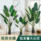 挪威的森林 【最低價】【公司貨】特價中✅北歐仿真樹仿真植物天堂鳥盆景室內裝飾盆栽綠植擺件仿真旅人蕉