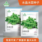 🥦【水晶冰菜】台灣水晶冰菜種子  陽臺盆栽蔬菜種子大全 四季冰草種子 秋冬種植青菜種子 耐寒耐熱四季種植