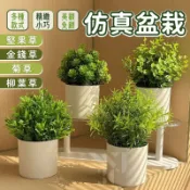 【居家百搭小盆栽】仿真盆栽 盆栽 植物 金錢草 小盆栽 仿真植物 人造花 植栽 迷你盆栽 假盆栽 擺設 假草 辦公室