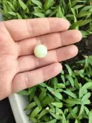 和闐玉黃口料卡16mm單珠多寶手串單珠肉質細膩由潤顏色好微結構t5尺寸16mm渴做文玩配飾多寶手串單珠福