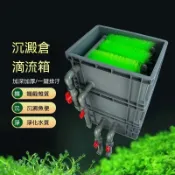 【宅配免運】過濾水箱 週轉箱 沉澱倉DIY魚缸魚池過濾循環系統