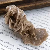 Desert Rose 內蒙產地  沙漠玫瑰石 石膏 天然礦石 原礦