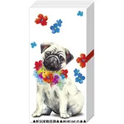 ★好玩家創意館-2★C286 餐巾紙21*21公分(IHR)花花沙皮狗