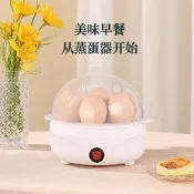 【可開發票】煮蛋器蒸蛋器自動斷電家用小型迷妳多功能蒸蛋羹煮雞蛋機早餐神器