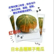 【紅樹林】日本品種栗子南瓜 (種子)~每份5粒