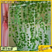 甄選好物 100 厘米人造常春藤條綠葉假藤掛婚禮家居牆壁裝飾