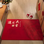 客製化 入戶門地墊紅色蛇年大門口進門腳墊玄關家用防滑地毯免洗耐臟門墊