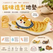🪄現貨 軟硅藻泥地墊 平滑水晶絨地墊 吸水止滑 浴室防滑墊