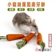 小寵胡蘿蔔磨牙餅 磨牙 造景 小動物零食 提摩西草 倉鼠黃金鼠兔子天竺鼠龍貓 迷你胡蘿蔔 倉鼠用品 典贊創意 24H出貨