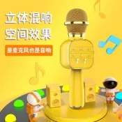 DS813炫彩馬卡龍兒童麥克風話筒音箱一體便攜家庭KTV唱歌變音器