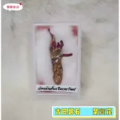 【泰國本地人代購】古巴磐石   聚寶花