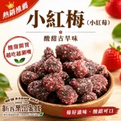 【新百果山蜜餞】小紅莓 小紅梅 酸甜果乾蜜餞 140克/280克大包 辦公室零嘴 團購熱銷