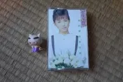 卡帶 錄音帶。東方女孩 蔡幸娟 真的讓我愛你嗎 ◡飛碟