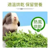 進口甜燕麥燕麥草甜小麥草苜蓿提摩西一割二割百慕達牧草高纖磨牙兔龍貓豚鼠全齡段營養充足適口性佳