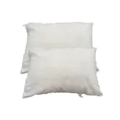 【J&N】台灣製抱枕心30*45-300克(2入/1組)