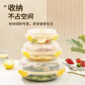 保鮮盒 冰箱收納盒 食品級保鮮盒 冷凍密封盒水果蔬菜整理盒家用透明保鮮碗