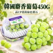 築地一番鮮-韓國麝香葡萄 2串/(450g/串)