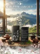 【nature-market】台灣茗茶 玉山沙里仙烏龍茶 (4兩/每罐) 嚴選天然手採 輕培 茶湯金黃 清香潤喉