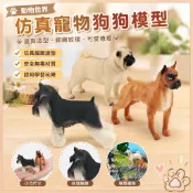 🌈「動物世界」仿真寵物狗狗模型兒童認知沙皮狗雪納瑞拳師犬桌面裝飾擺件
