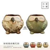 （台中 可愛小舖）日式鄉村瞇眼捧腹貓頭鷹造型多款陶瓷製花盆盆器盆栽微景觀多肉植物花店陽台櫃台書房居家飯店民宿花園花圃