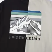 🔥【NTD】最後數量 Patagonia元素 MIT台灣製造 玉山天際線 圖騰短T 短袖 短踢 短T 男生 上衣 SBG