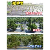 【綠海生活】附發票 (零售) 雜草蓆 4尺/ 6尺/8尺/10尺/12尺 防草蓆 雜草抑制蓆 防草布 抑草蓆