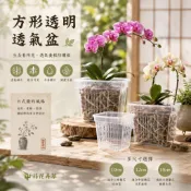 發票現貨～方形透氣盆(多尺寸) 網盆氣 根植物栽培 蘭花 蕨類 水耕盆 高度透水 透氣 透氣盆 控根盆 塑膠花盆