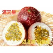 蜜糖滿天星  百香果苗  高成活嫁接苗 網路最低價 振華育苗場