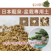 【花園夢想家】日本龍泉 盆栽專用土 1公升 松樹類 柏樹類 木本植物 盆景 盆栽 塊根 栽培介質 培養土 赤玉土