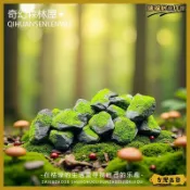 苔蘚微景觀造景森林石頭DIY裝飾品盆栽花盆魚缸景觀小石頭小擺件可開發票✅瑞福居擺件館✨️臺北出貨✨️